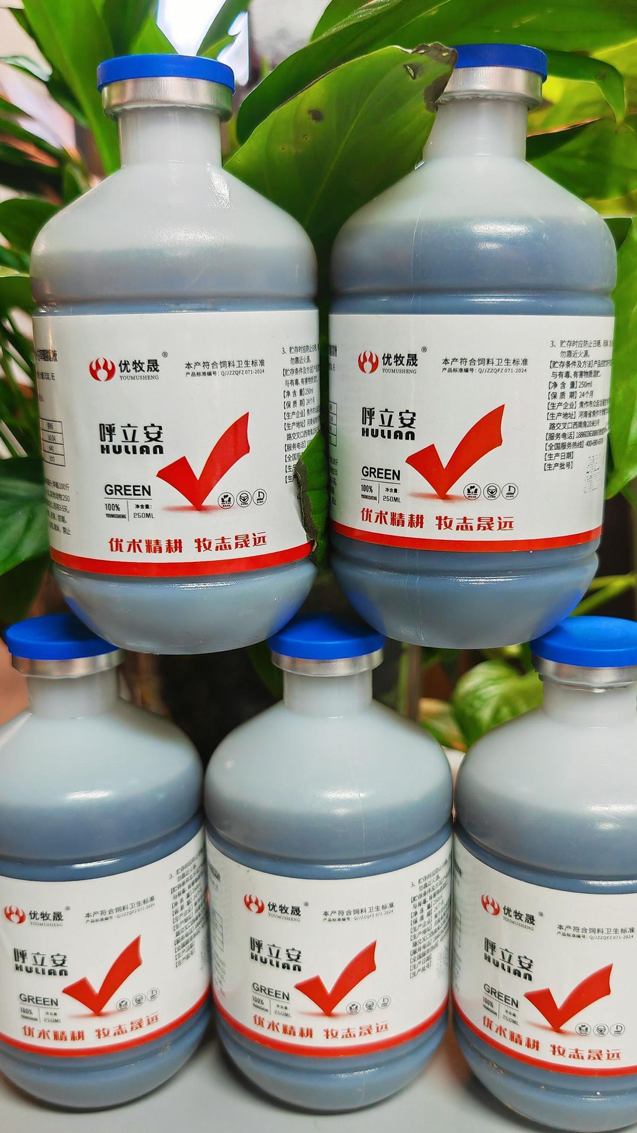 养羊人 农村养羊 农村养羊创业