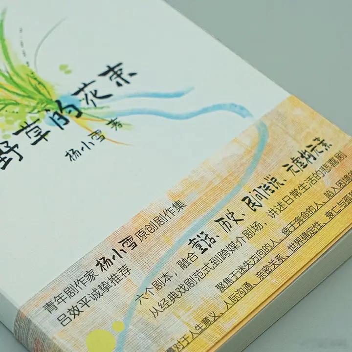 知書club 新书介绍丨本书为青年学者、编剧杨小雪的原创戏剧集。收入的作品既有结