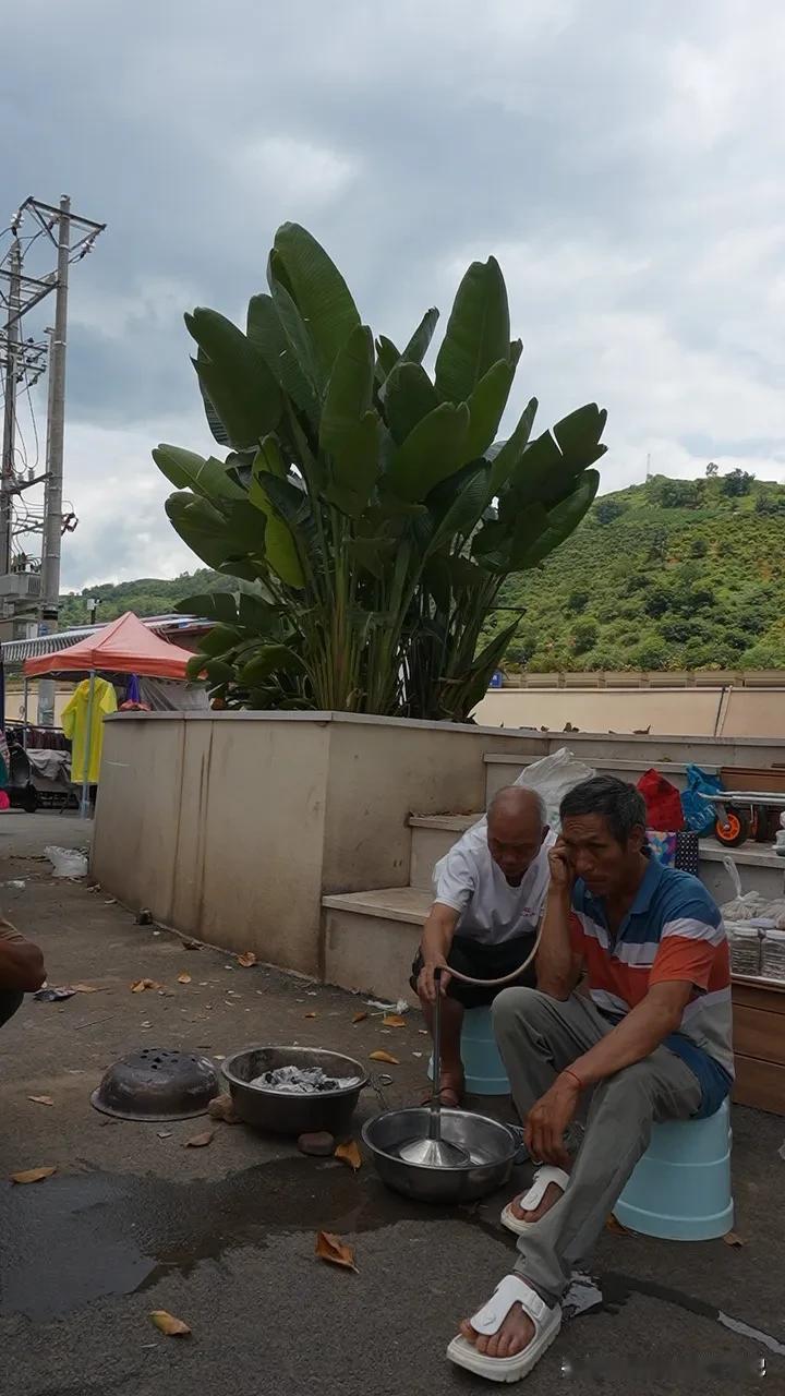 带着83岁妈妈在弥勒旅居！闲来无事各处赶集！真的看到好多稀奇古怪的食物，药材，以