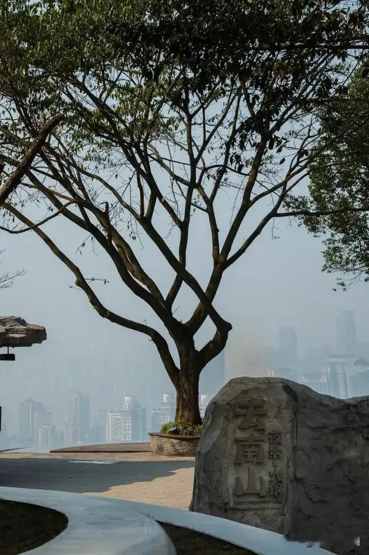 重庆街头越来越多口袋公园，幸福藏在小细节里
不知道大家有没有发现，最近重庆各个片