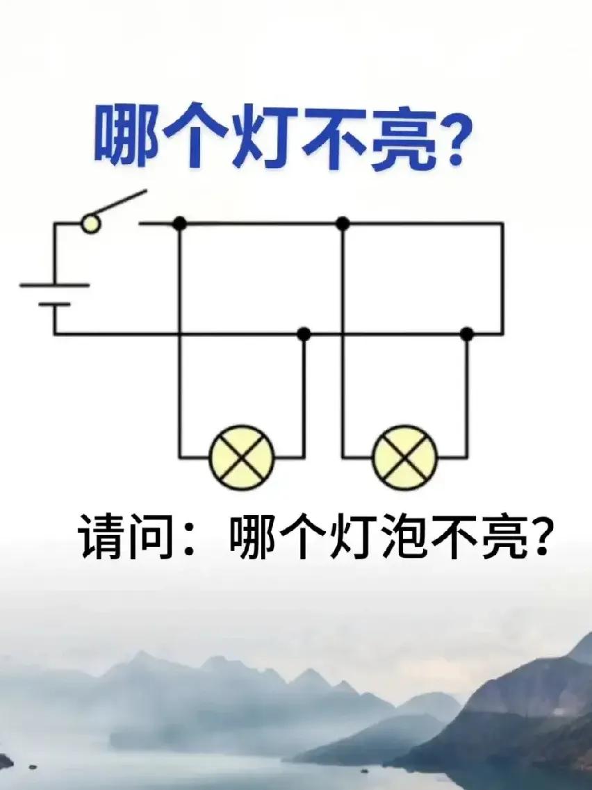 请问：哪个灯不亮？
邻居家读初中的孩子来问我一道物理题。下图中，哪个灯亮？哪个灯