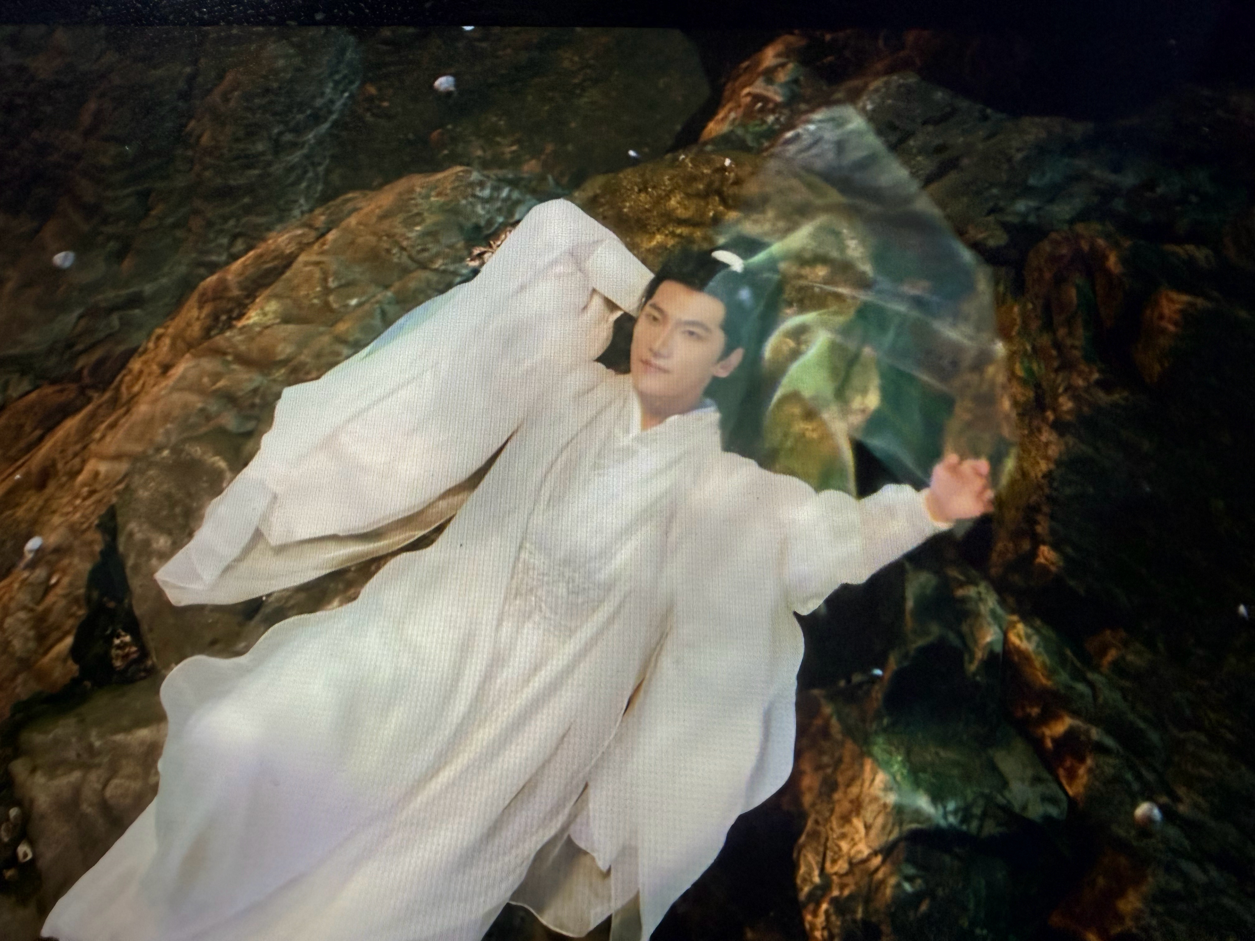 woc 杨洋这张脸真的是老天爷赏饭吃吧这个镜头我之前刷短视频刷到好多次了今天在正