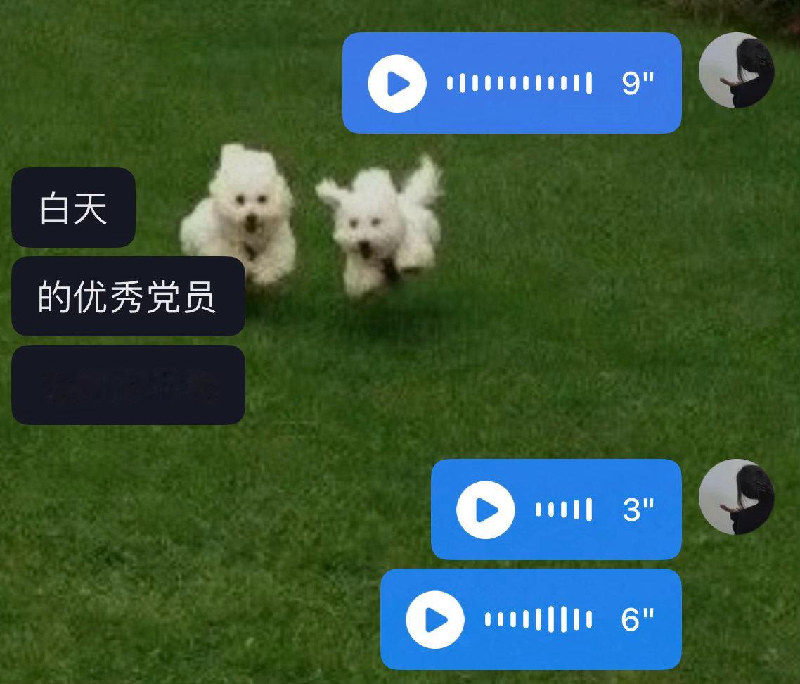 这是什么话 白天优秀党员 晚上欠c的母狗 