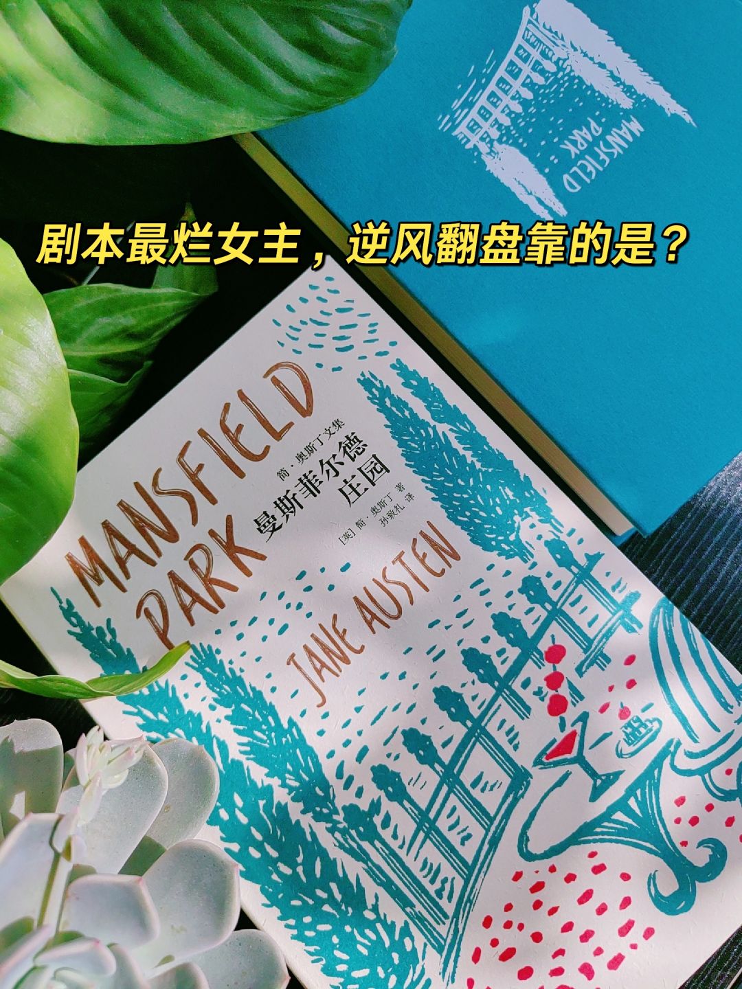 这本书的女主，竟然如此普通，她凭什么？