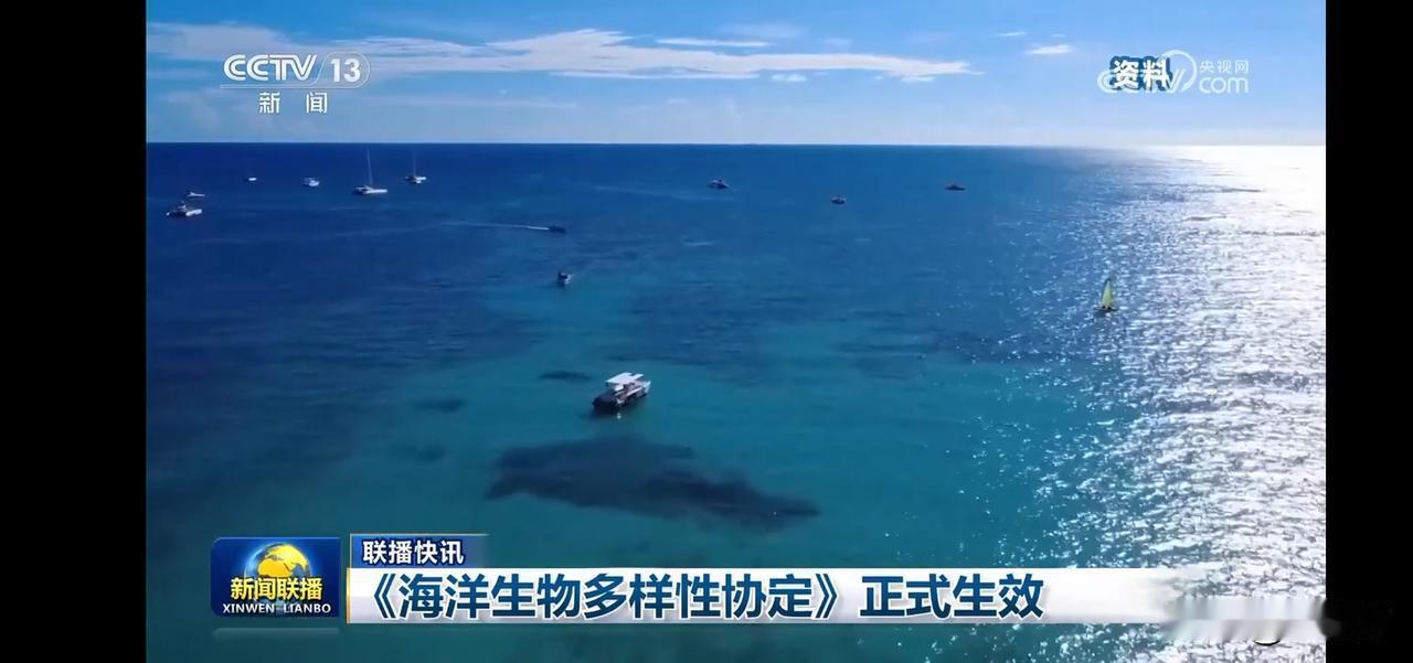 《海洋生物多样性协定》正式生效，守护蔚蓝海洋，共筑生态家园！