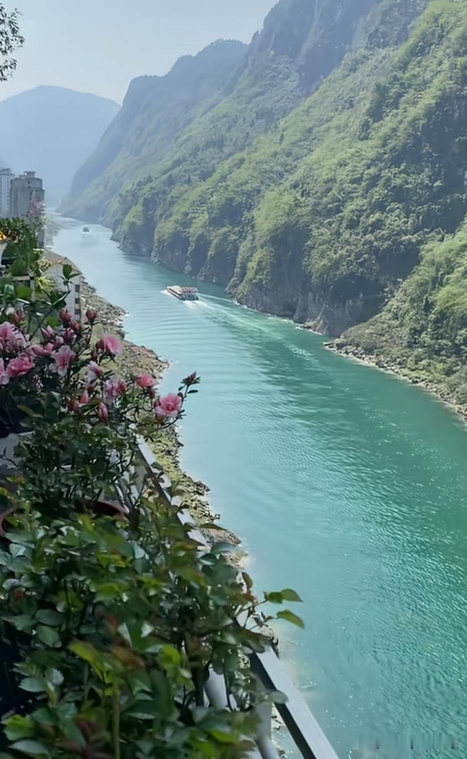 夏日生活打卡季