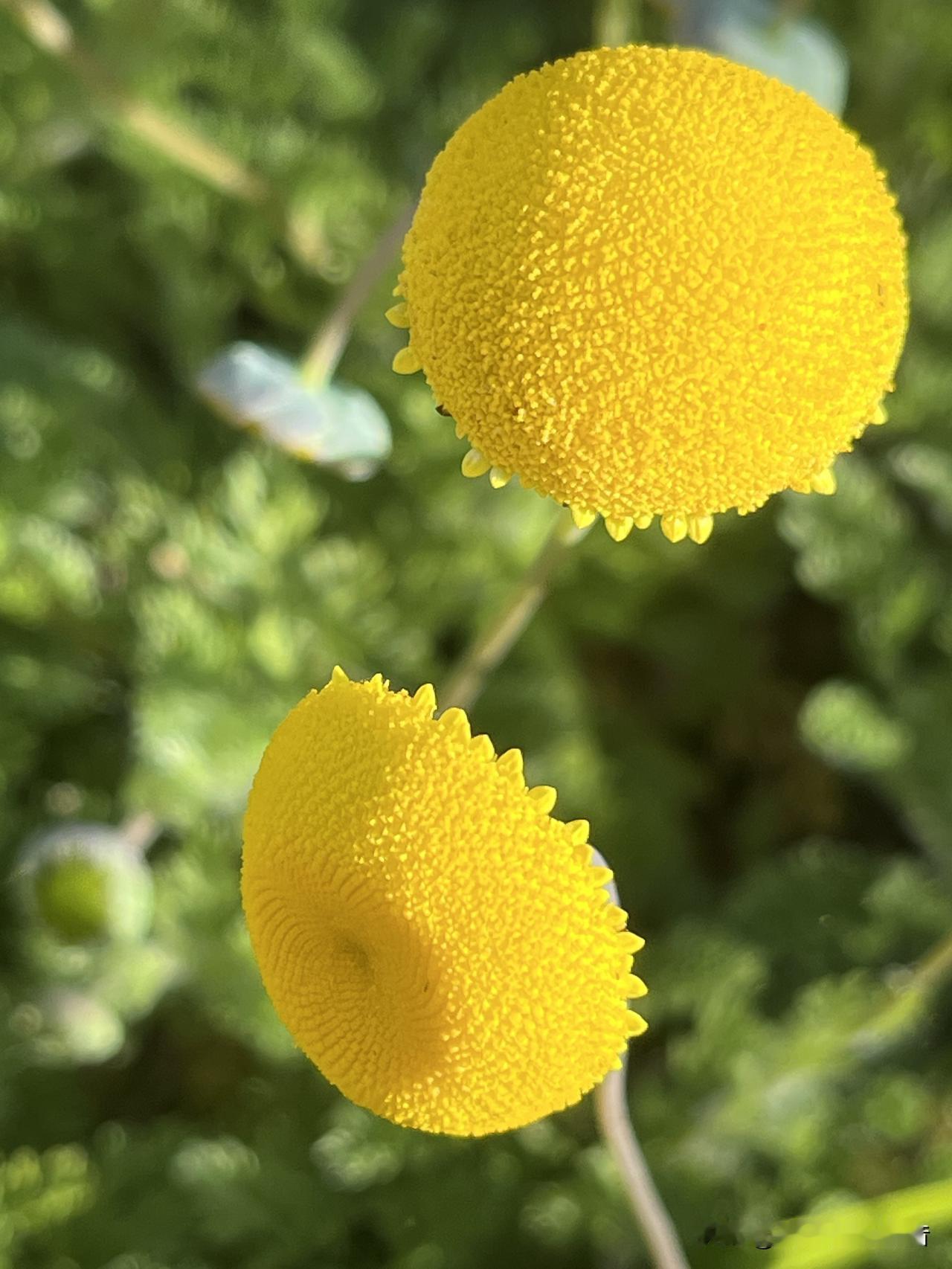 冬日生活打卡季