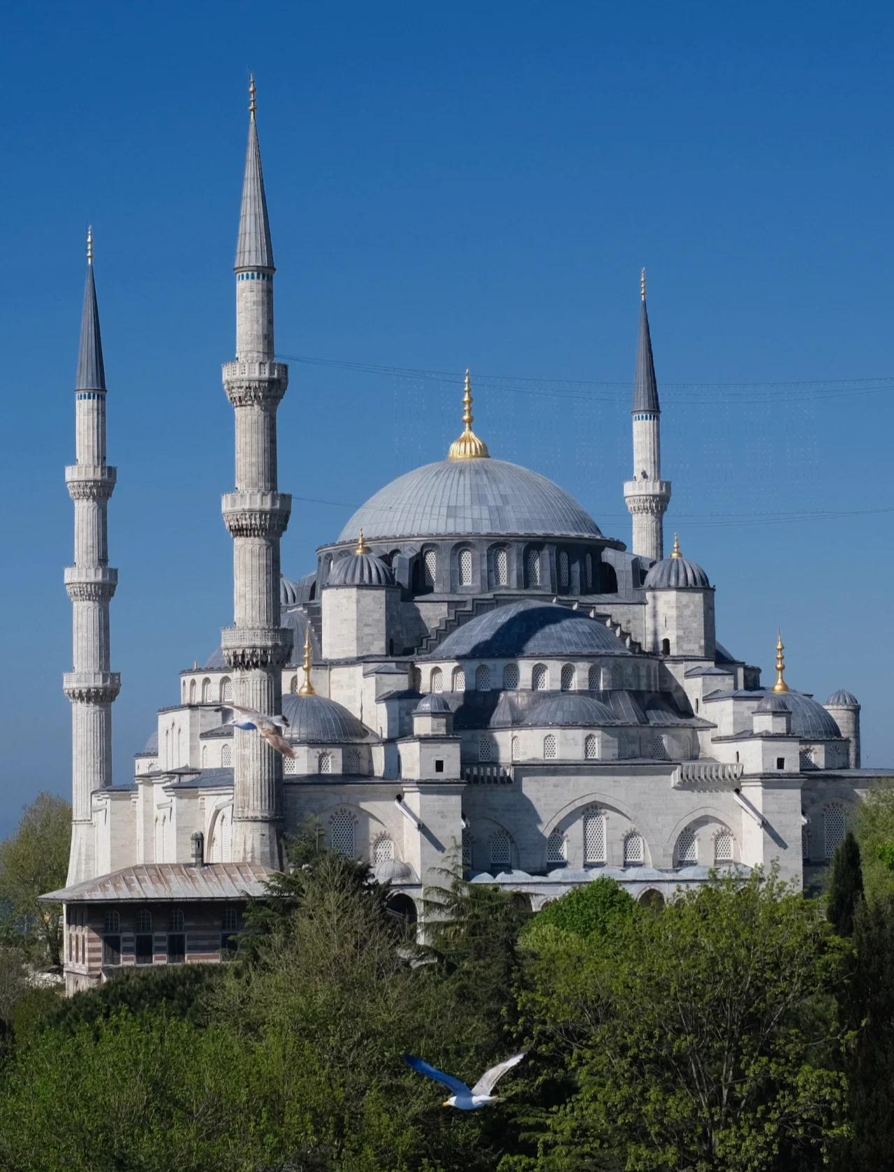 真正的成熟，是不再执着于非要一个答案。成熟的人，是自然地保持距离，不委屈自己，不