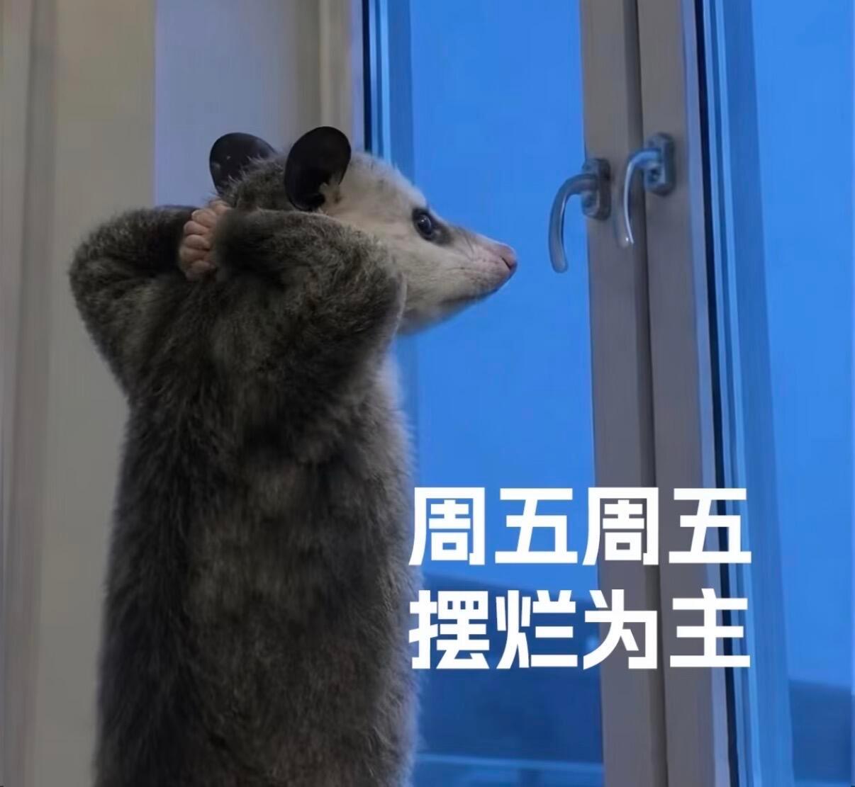 负鼠表情包 | 周一到周五打工人表情包 | 抽象发疯表情包 | 职场实用表情包 