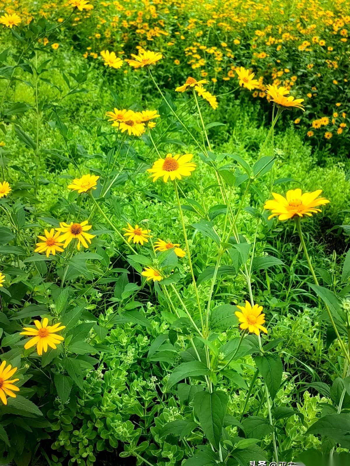 一套280万的房子，父母留给独生女儿。她拿着材料去过户，窗口的人看了一眼，把单子