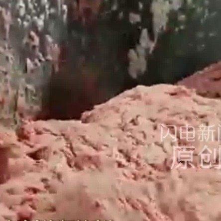 刷到这条消息的时候，我第一反应就是翻了翻自己上周点的麻辣烫订单，那碗里浮着的几颗