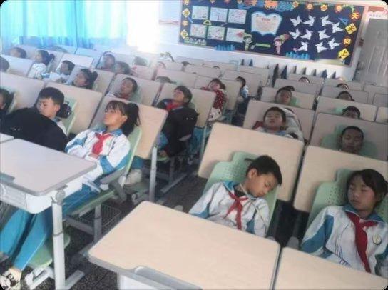 学生午休居然进化成这样了 看着是真不错，有腿托，有颈枕。想起小学那会儿，在学校午