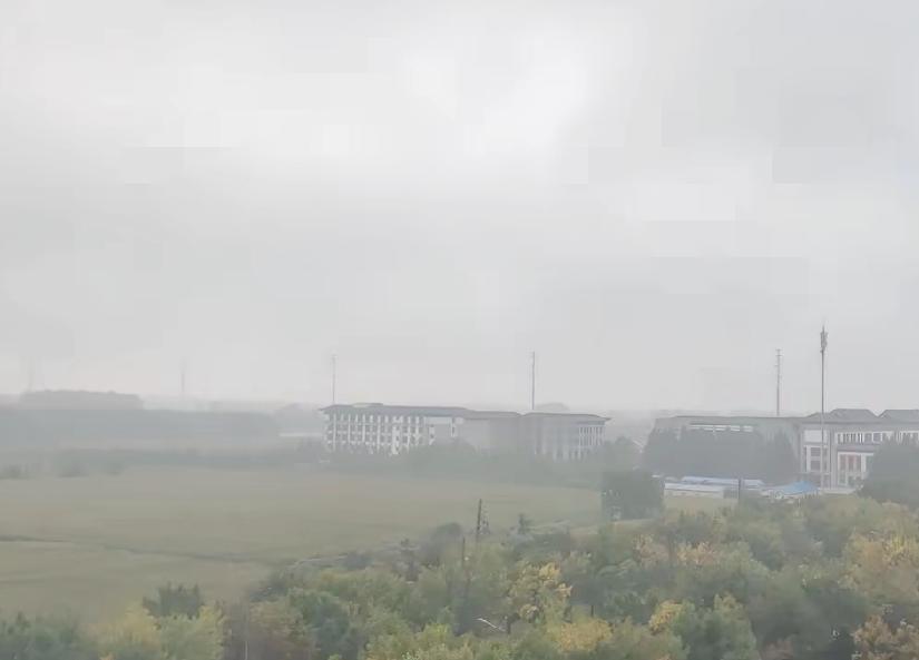 彻底没招了，
山东这天气，真是让人哭笑不得。裤衩子有多久没见过阳光味了？我都快忘