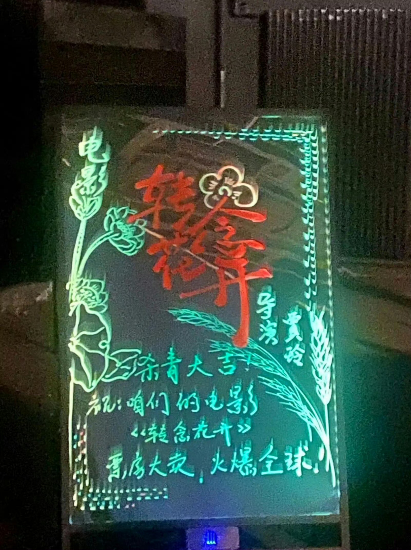 贾玲转念花开杀青由贾玲执导并主演，张小斐、杨紫、张译、王骁等主演的新片《转念花开