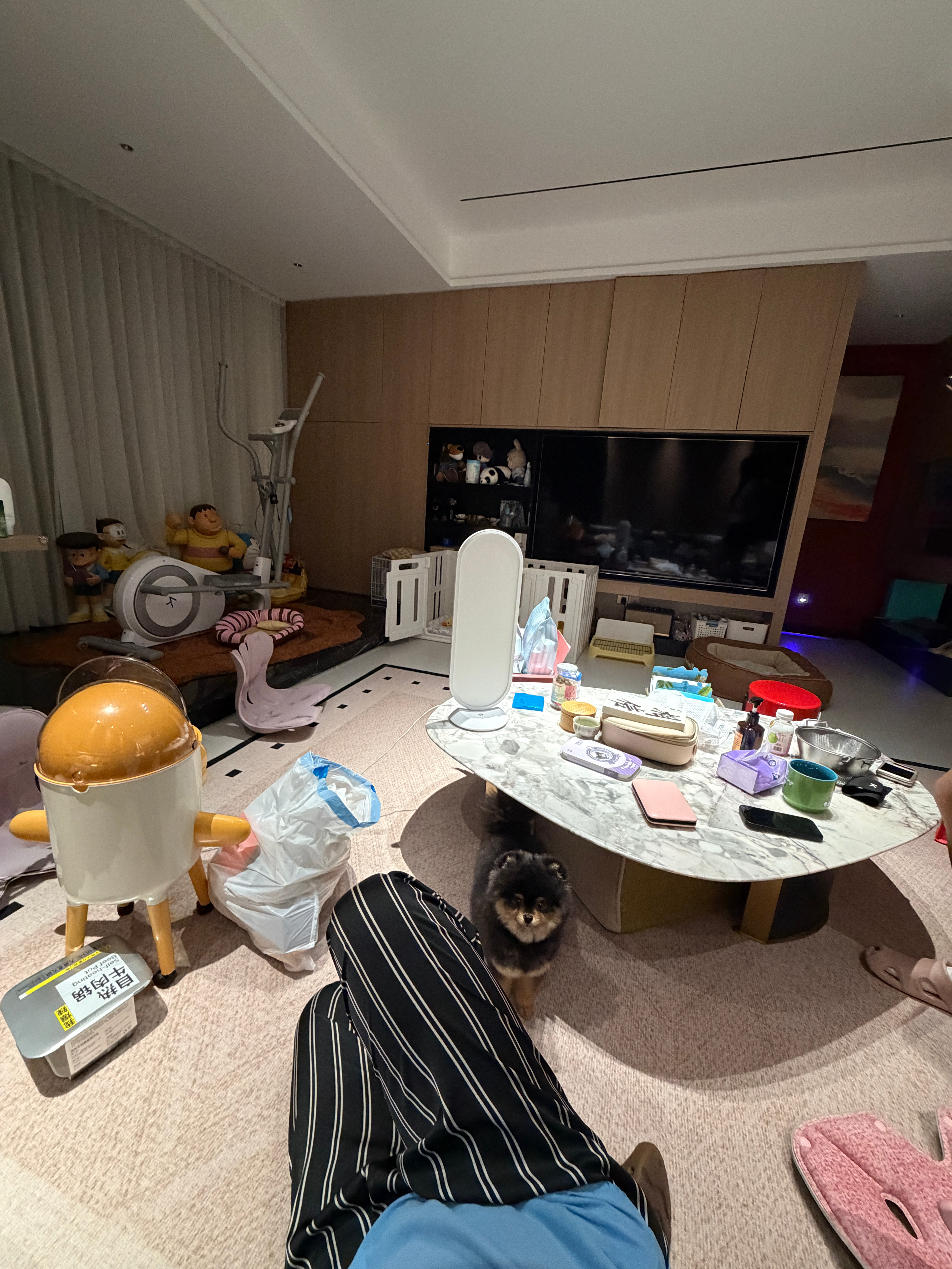 拍完带货再拍广告，明天再去杭州直播，播完回来立刻回来收拾行李12号立刻去韩国玩起