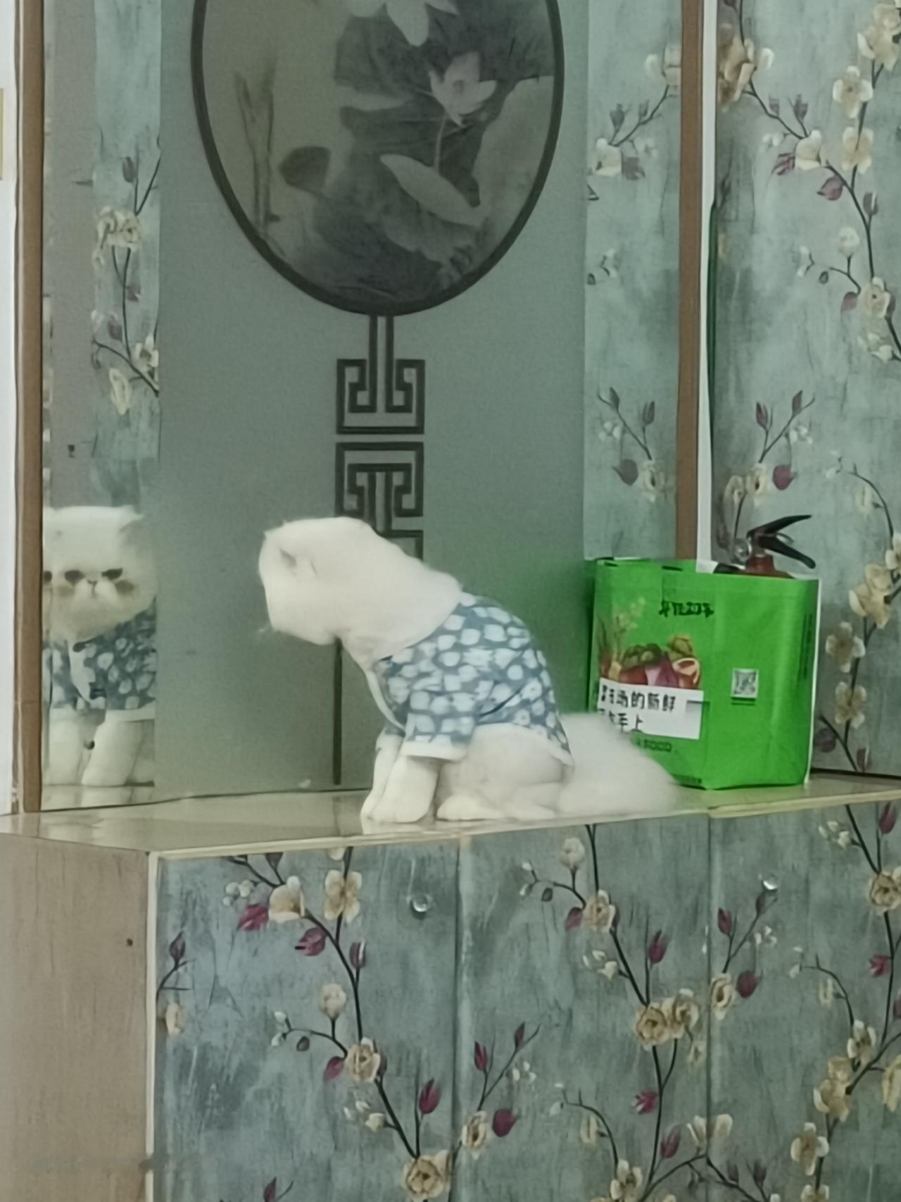 今年冬天的不同今年的冬天很冷，雪很大，是个好兆头。这一年会大丰收，国泰民安。