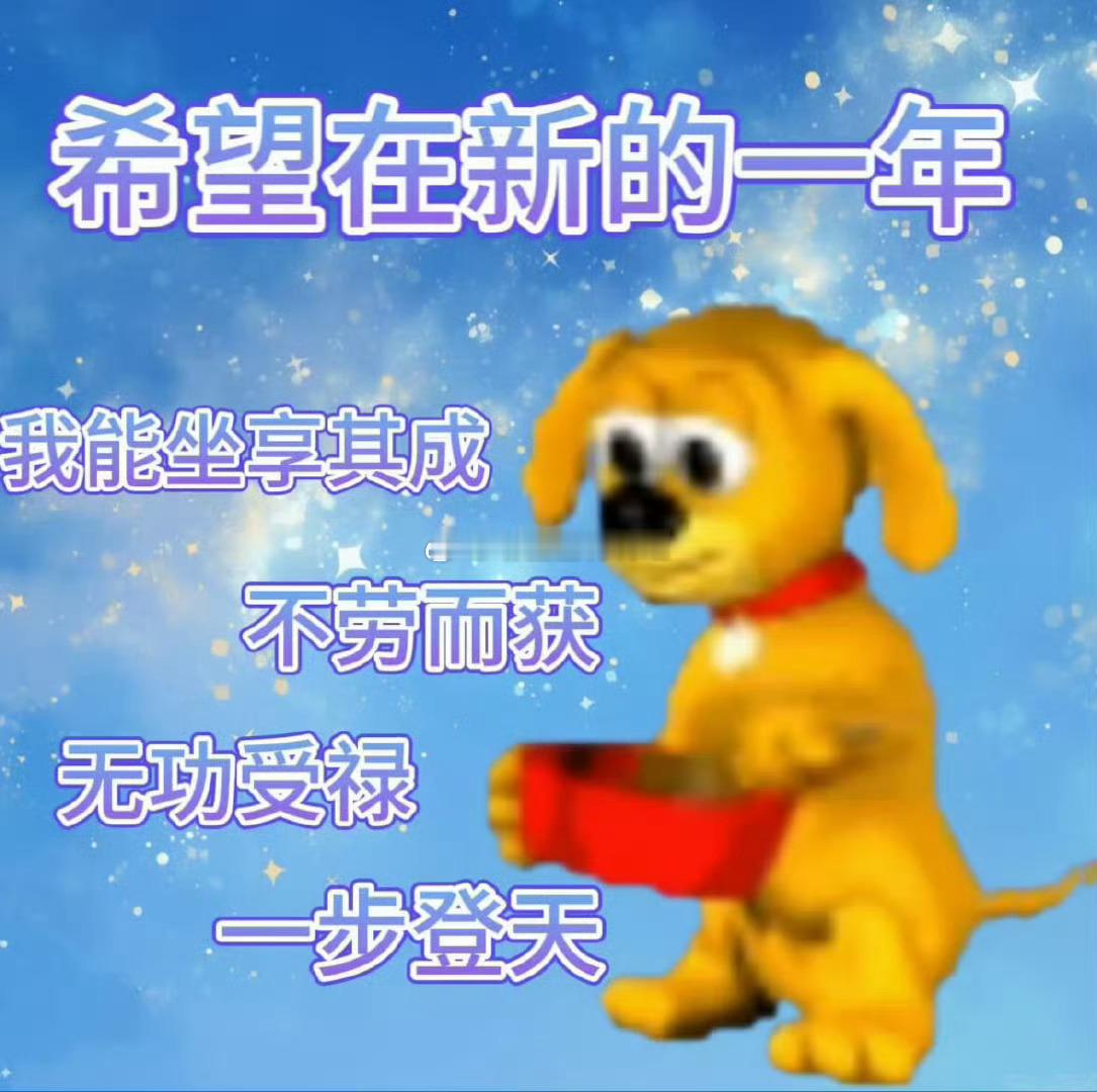新年愿望 