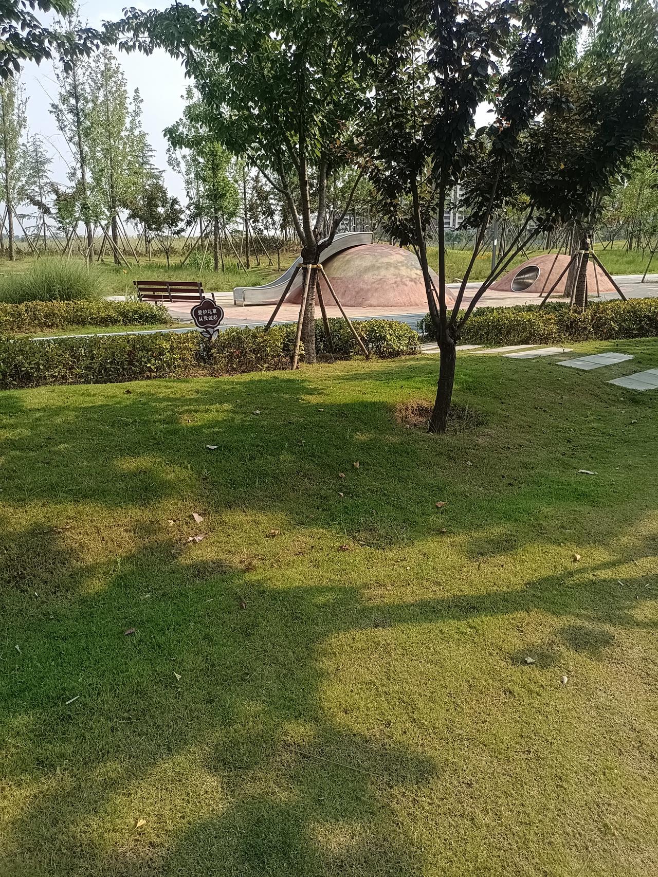 一段非常有道理的话：“你是永远都不可能掌握自己寿命的，不要以为你坚持锻炼身体，吃