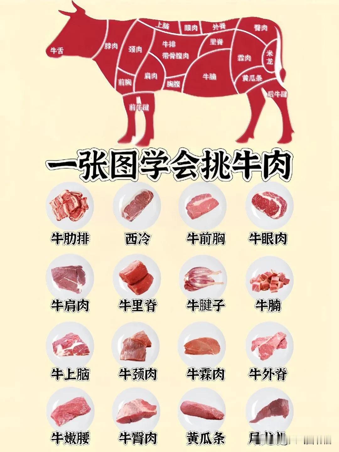 要想吃到牛的每个部位，这张图就是最好的答案。
