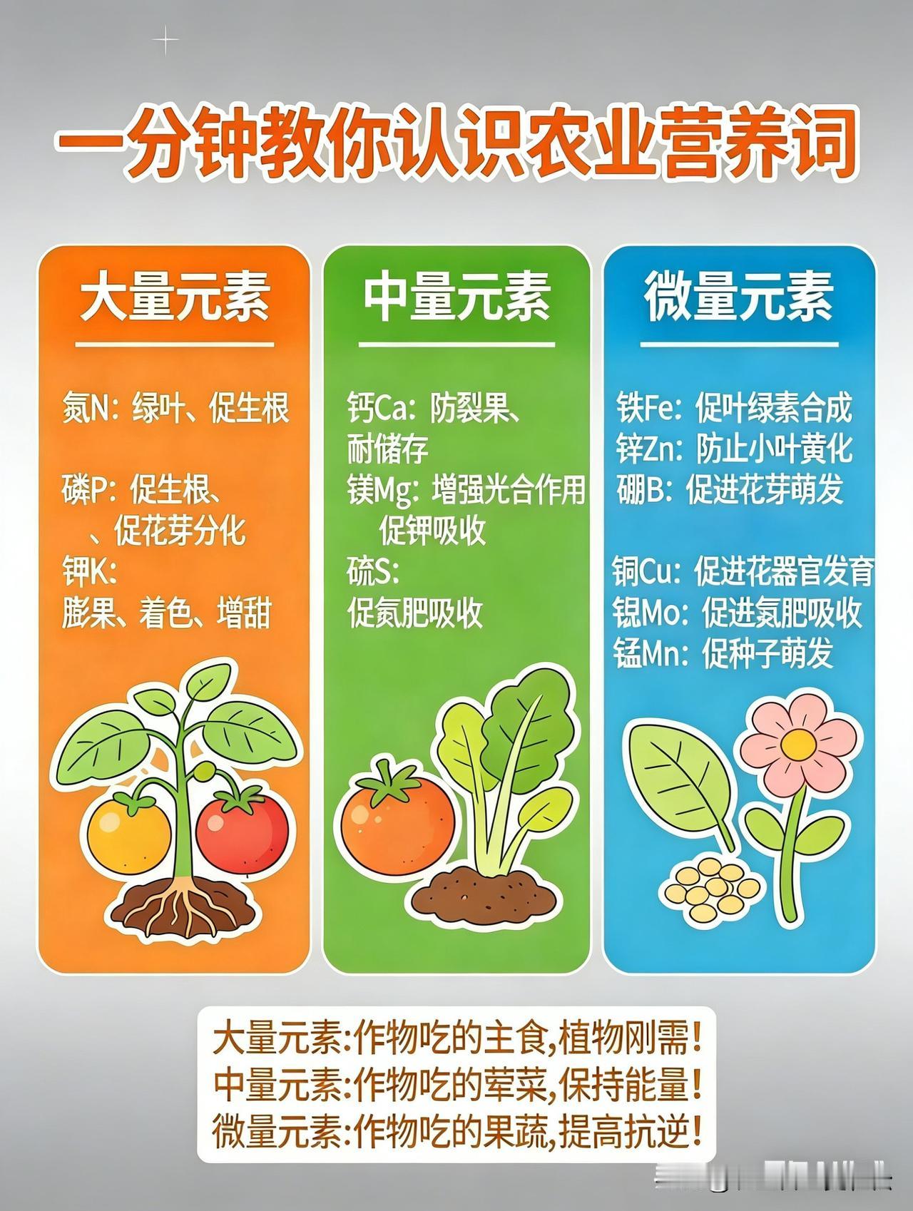 植物生长需要的大量元素，中量元素和微量元素列表。同时不要忘记碳氢氧三个拍前边的元