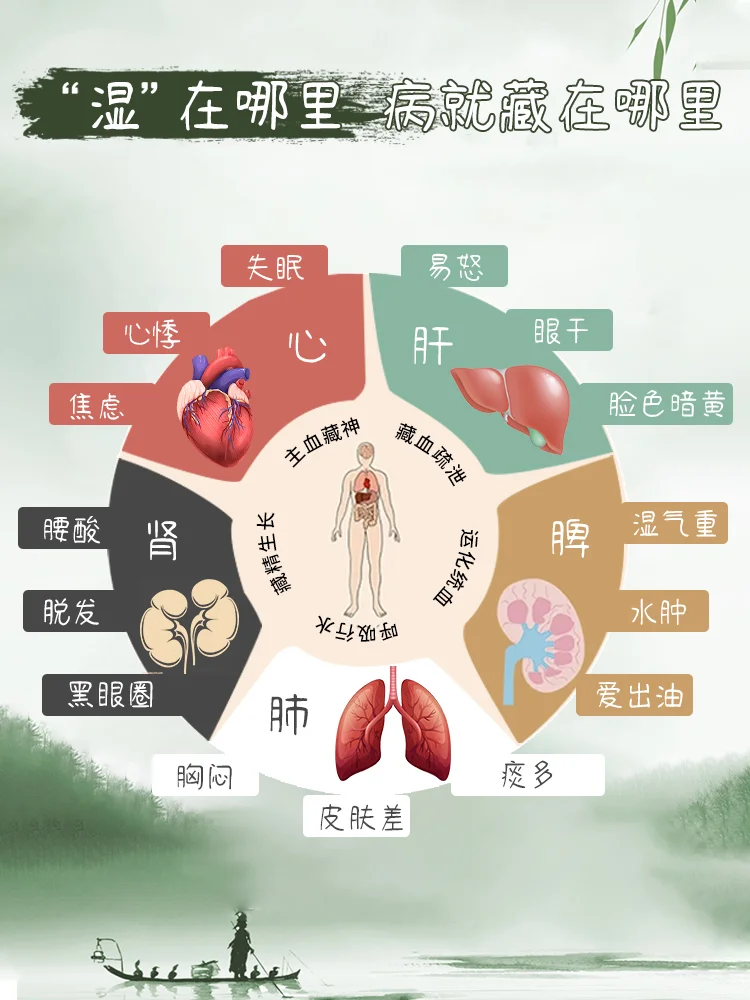 五脏六腑的养生小知识～