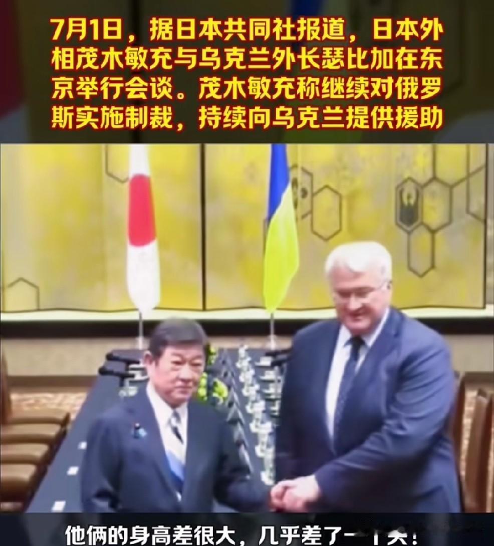 昨天，乌克兰外长瑟比加与小本子外相茂水敏充在东京进行会晤。

小本子外相茂水敏充