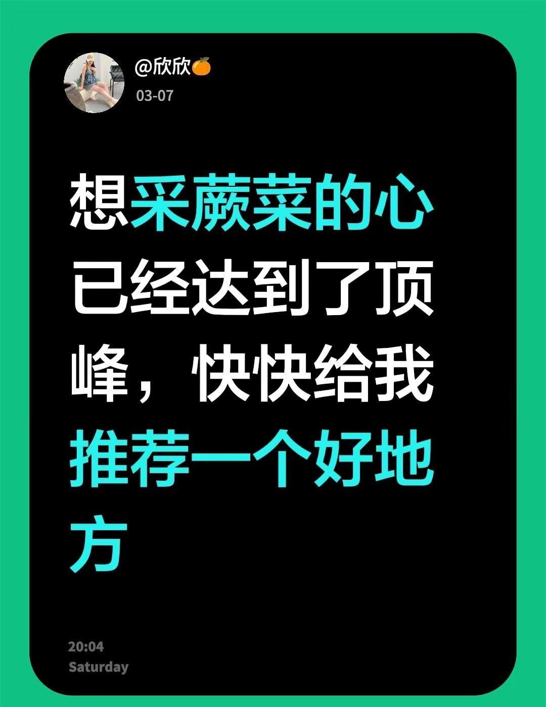 想采蕨菜的心已经达到了顶峰，快快给我推荐一个好地方