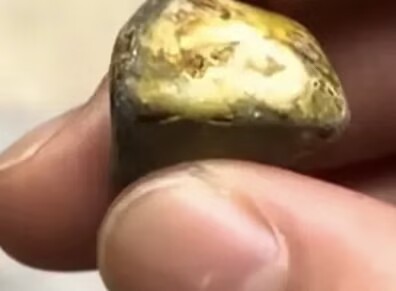 意大利小偷把肾结石误认黄金偷走太搞笑了真的是，不管哪一行都有显眼包，把肾结石当黄