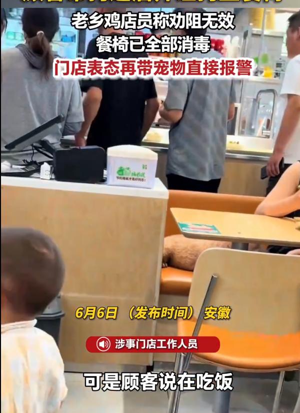 多位网友发帖反映，在老乡鸡门店就餐时，顾客竟直接将宠物狗放在餐厅餐椅上喂食——狗