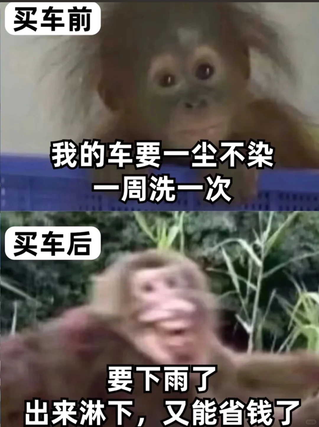 买车前 买车后的你