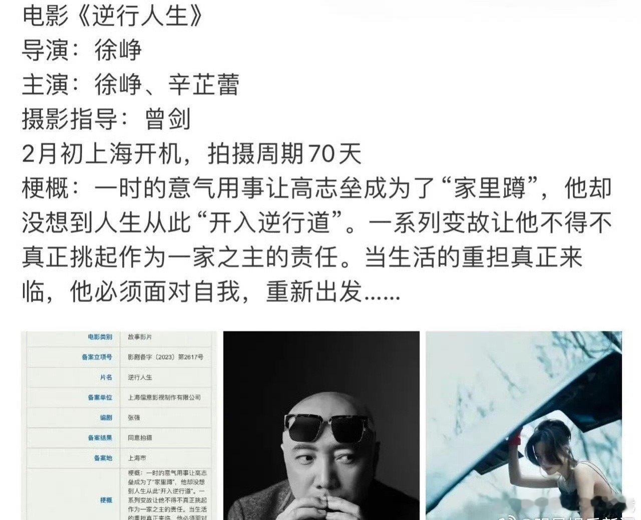 #辛芷蕾或将出演徐峥新电影##徐峥辛芷蕾或将合作电影# 梦幻联动🈶 辛芷蕾或将