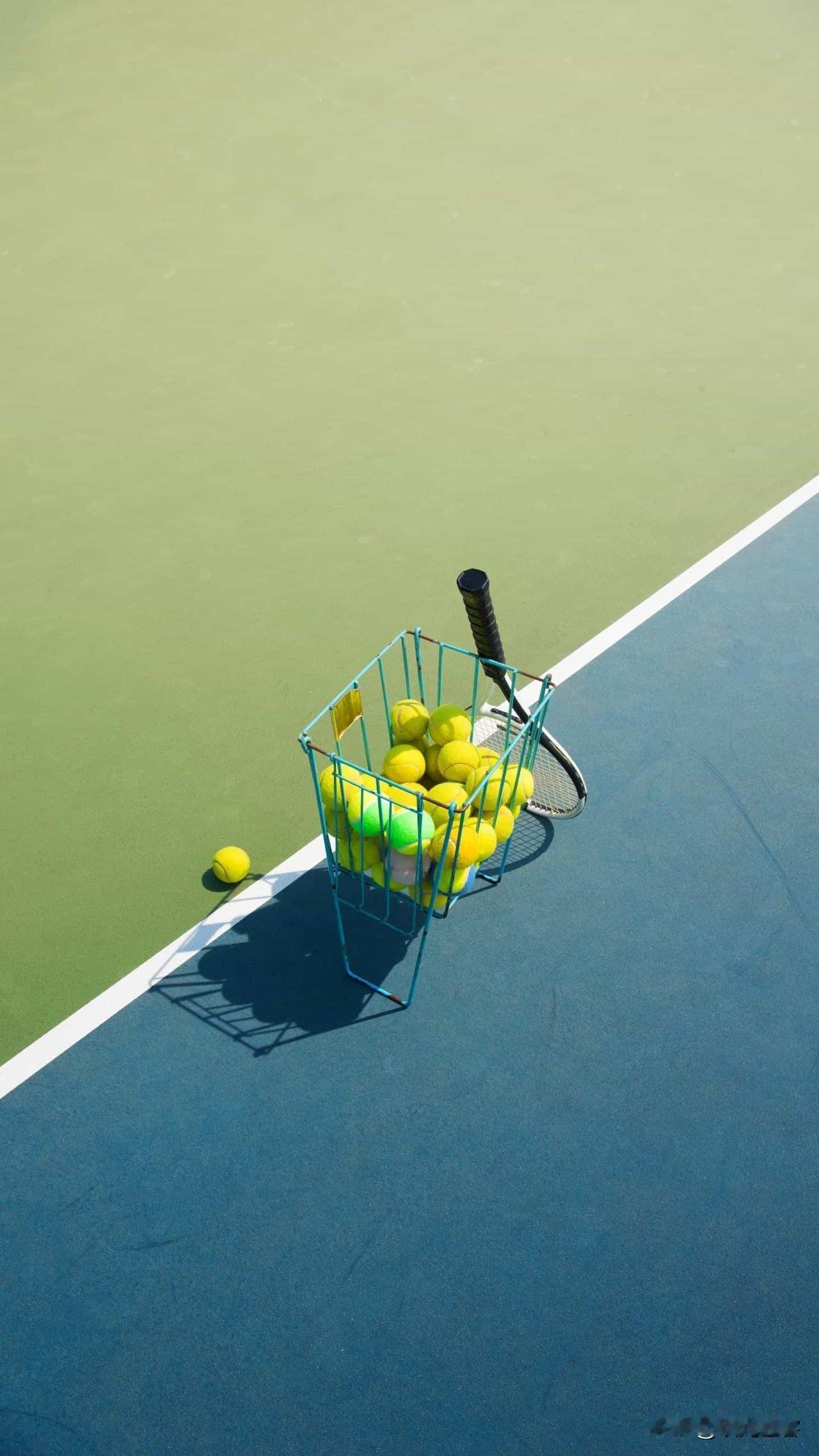 天南地北大拜年