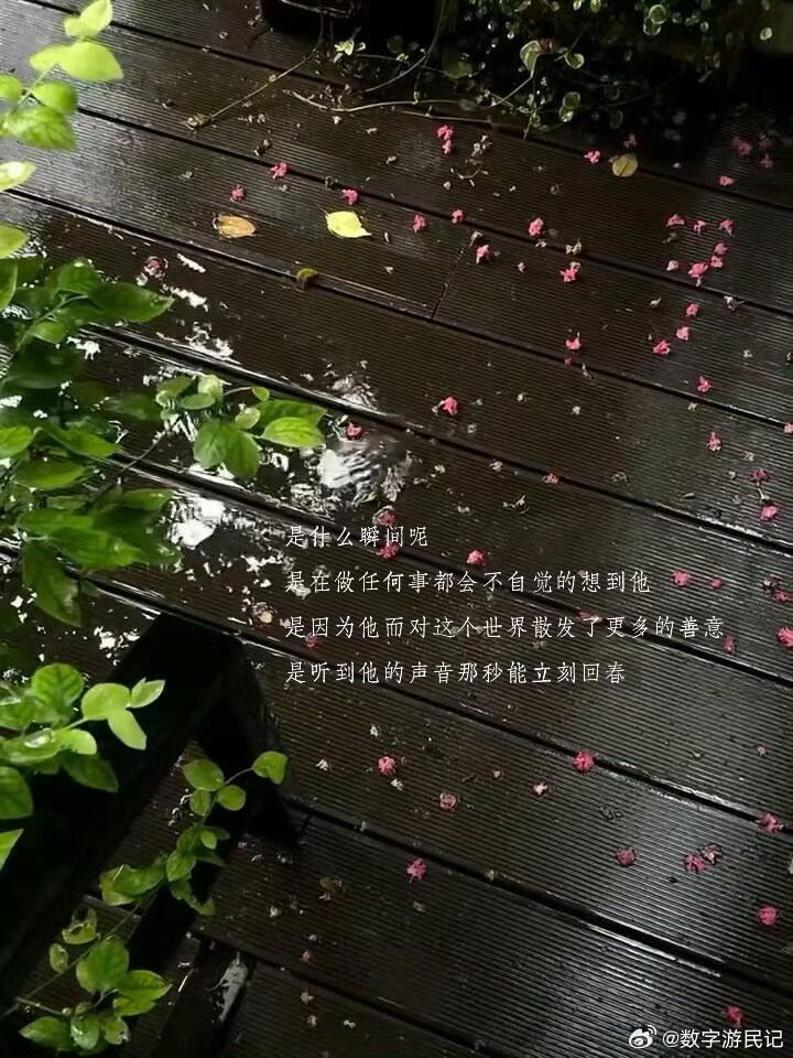 生日当天被魔法和真心同时眷顾爱是世界上最伟大的魔法，我一直觉得爱是维系生命的重要