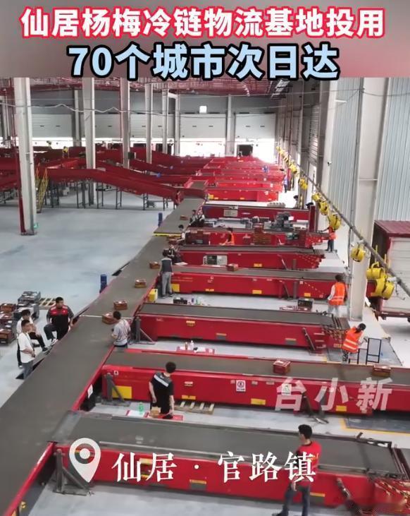仙梅这么鲜的秘诀 仙居杨梅冷链基地太给力！日处理十万箱鲜果，全链路恒温锁鲜，百多