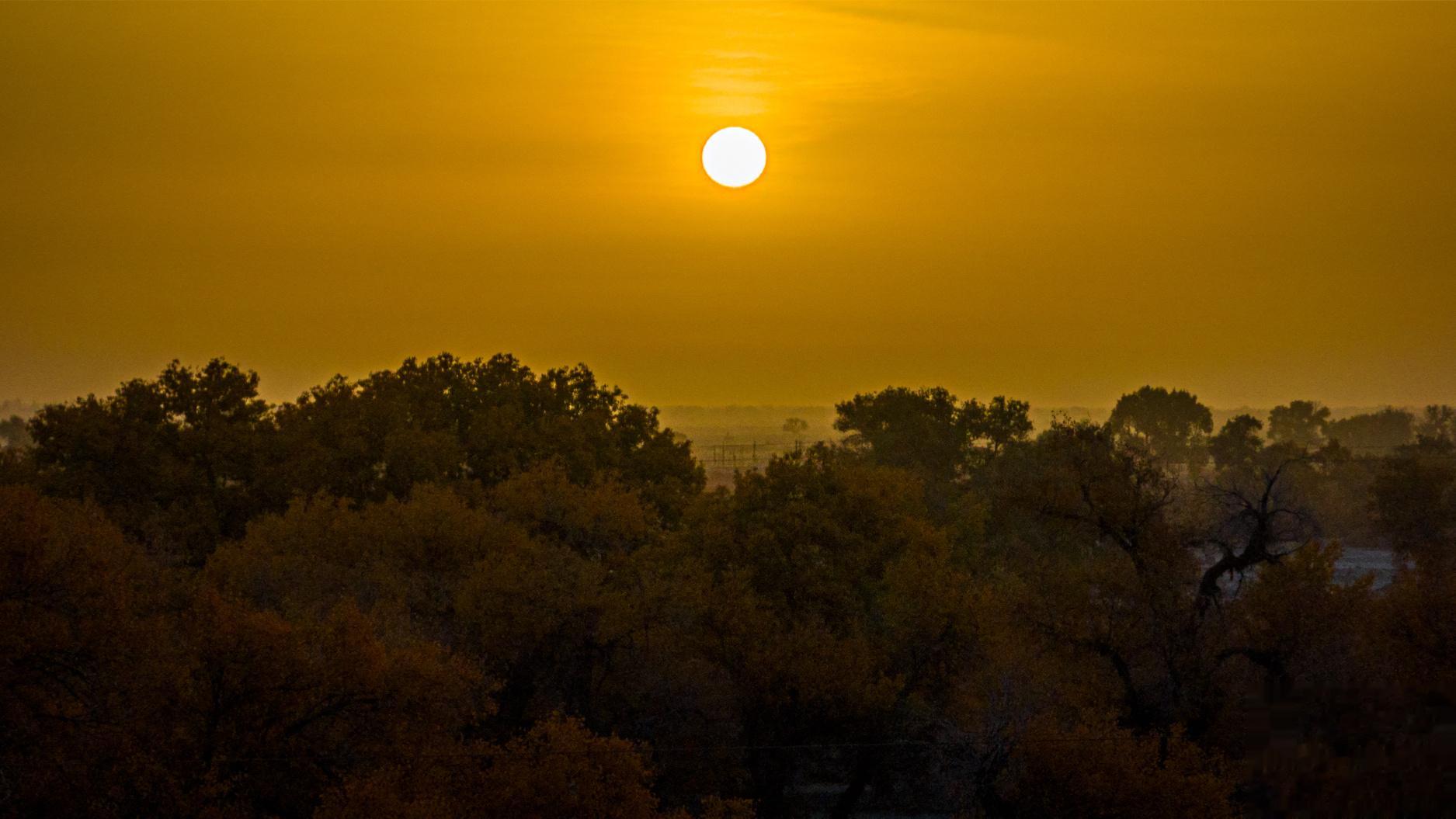 轮台夕阳 新疆｜巴州#大美新疆#  