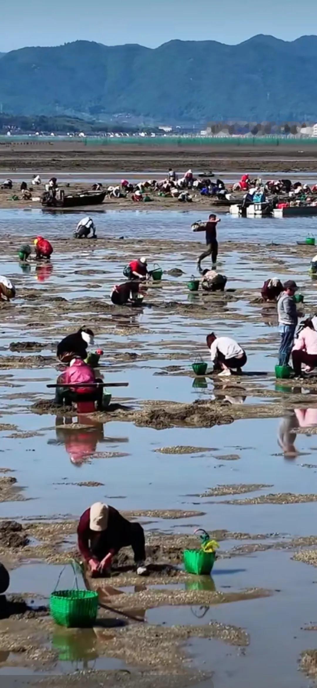 赶小海