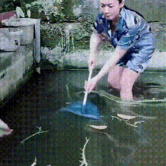 这鱼太皮了，把小姨子都弄懵了！

创作训练营开营啦上联：池边看鱼跃，诚邀下联