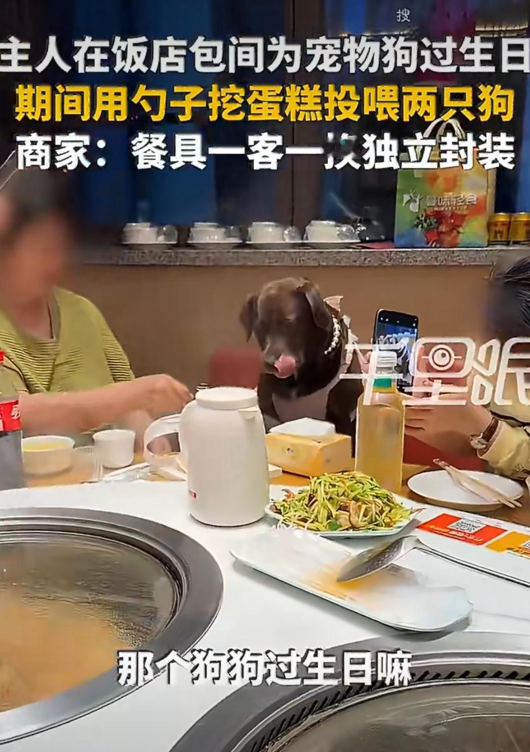 动物伴侣强制禁烟免费卫生巾，三个拳法，打懵你。而有些城市，一言难尽，我倒是建议，