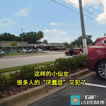 车:我可是一直给你机会呀！是你把握不住呀！
人:你为何这么倔呢？拉都拉不住。
它