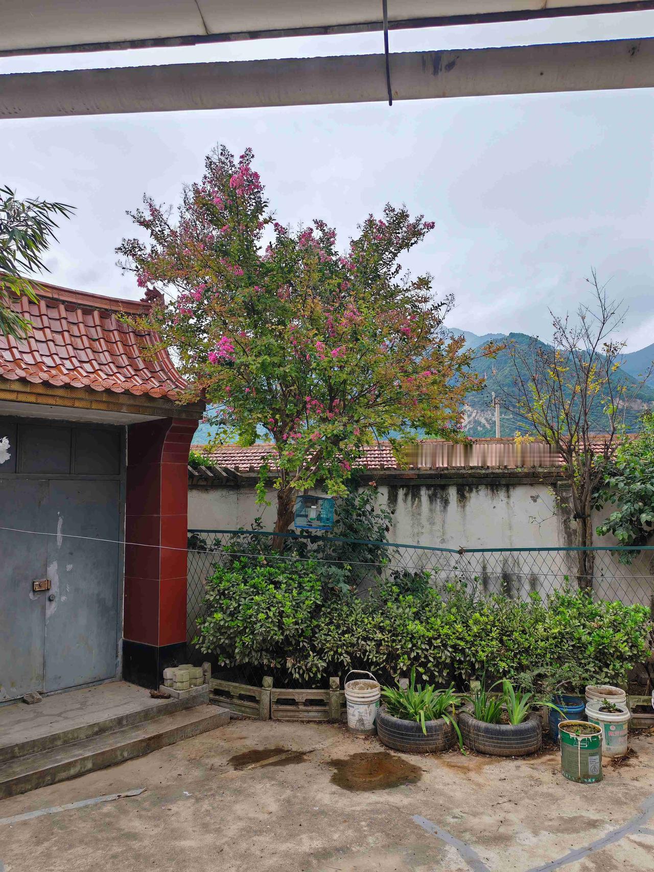 侄娃说天水麦积城区雨大的很，天水预报天水有雨，离城区40公里的乡下老家阴天。带定