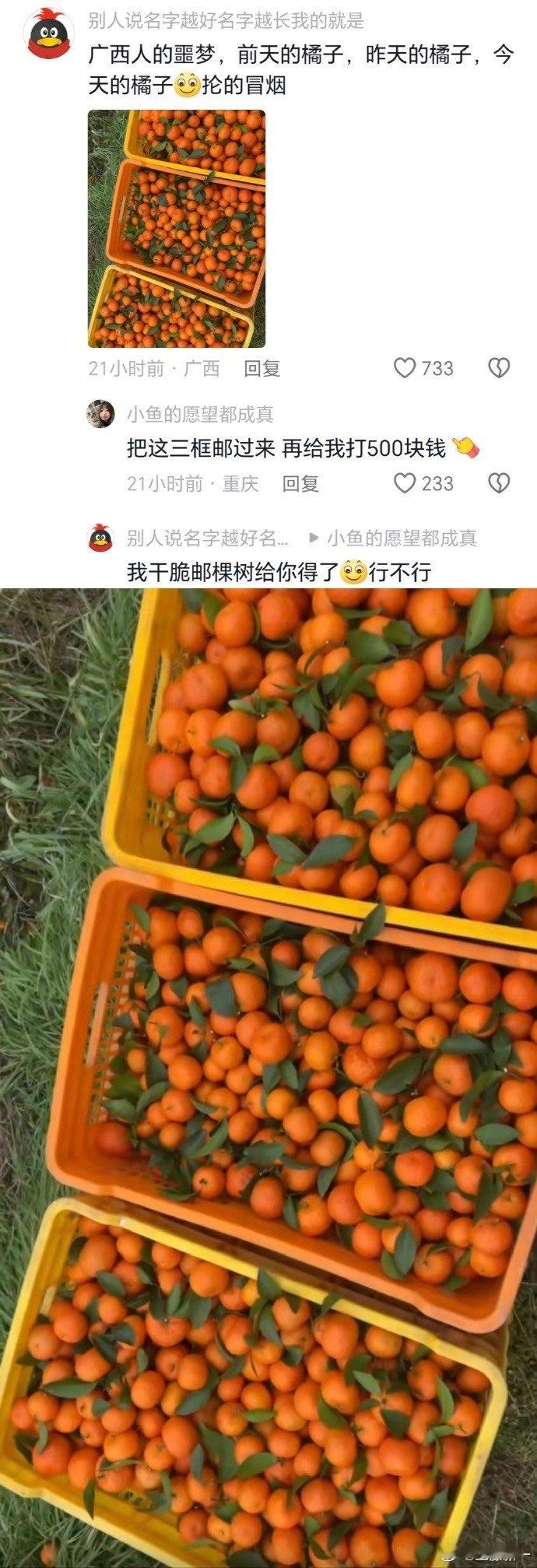 原来每个省都有自己的噩梦[doge] ​​​#搞笑# ​​​