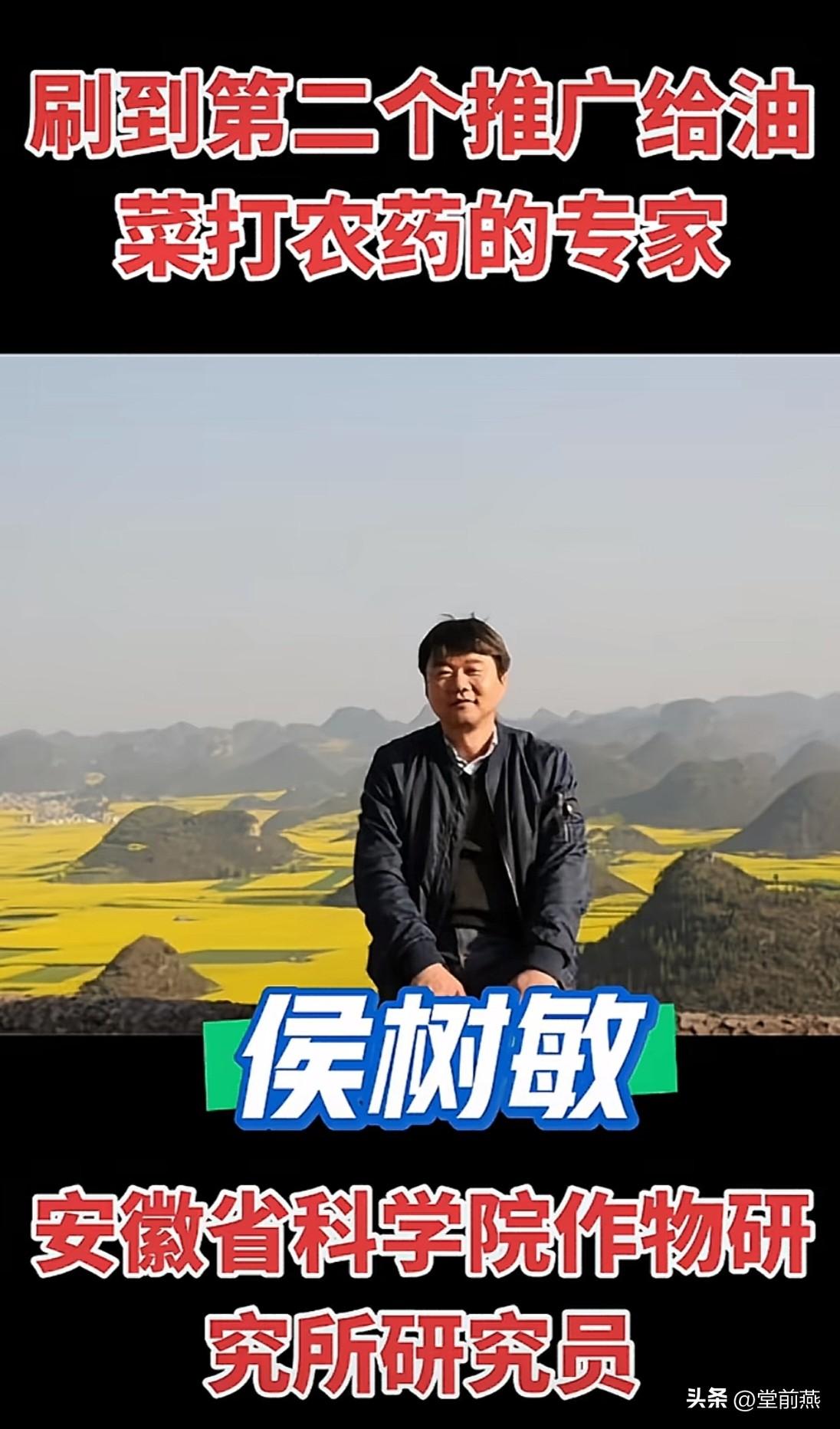 大家千万别把油菜地里钉上桩，也别在油菜花开花时放风筝，也不要在油菜花田野用渔网线