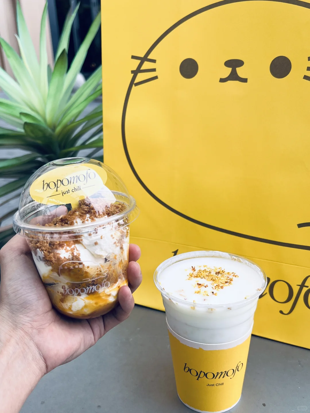 bopomofo酸奶中秋限定提前get🥰