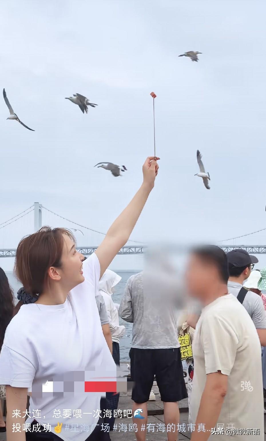 陈幸同发文：我棍儿呢？
在大连钱天一和陈幸同一起去星海广场玩儿，俩人都喂海鸥了，