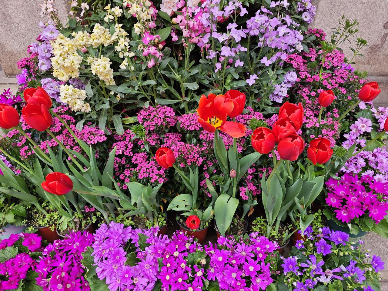 伊朗高超声速导弹就是针对美国来的，伊朗高超音速导弹如果研制成功，就不怕老美和以色