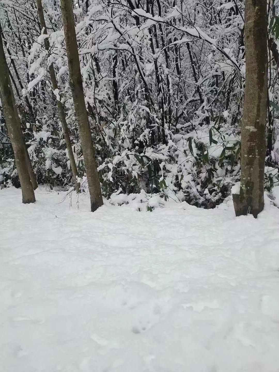 💖【广元冬日，冰雪仙境等你来打卡！】💖
广元的冬日，是一幅银装素裹的绝美画卷