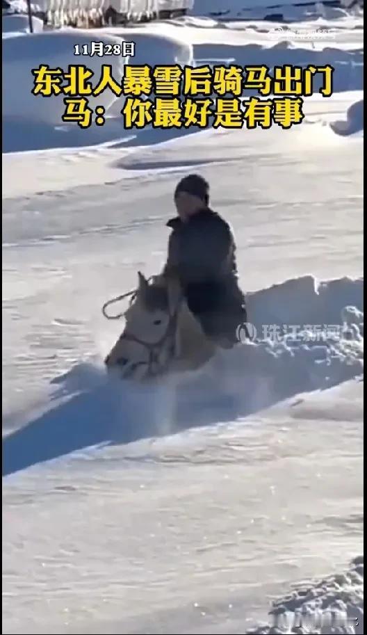 雪真大，咋出门啊