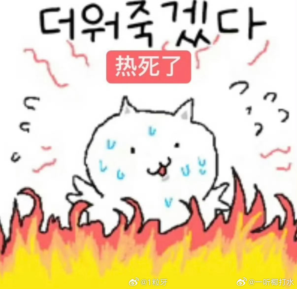 我夏天belike：
