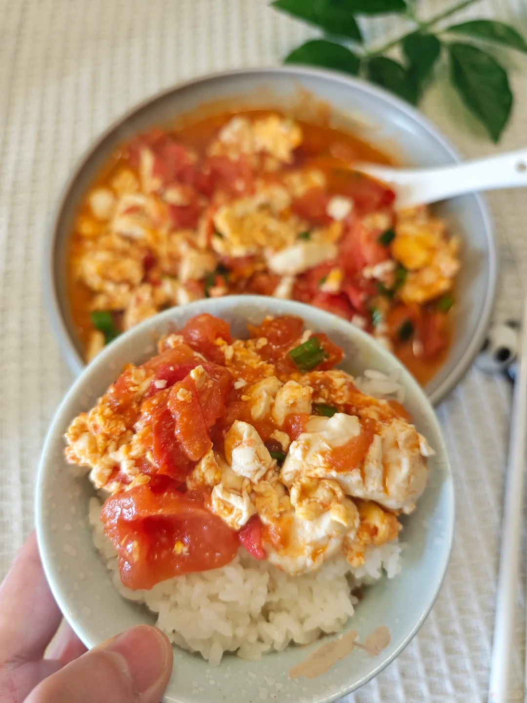 好吃的下饭菜🍅【西红柿鸡蛋豆腐】