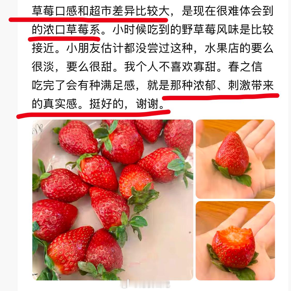 今年真的不敢太提“草莓🍓” 。低温持续长的季节，对于草莓风味有很好助力，但，低